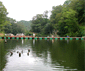 なごみの湖 湯船森林公園フィッシングエリア