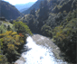 十津川村漁業協同組合