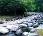狩川渓流ます釣り場
