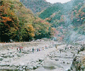 TANZAWA K.C.
